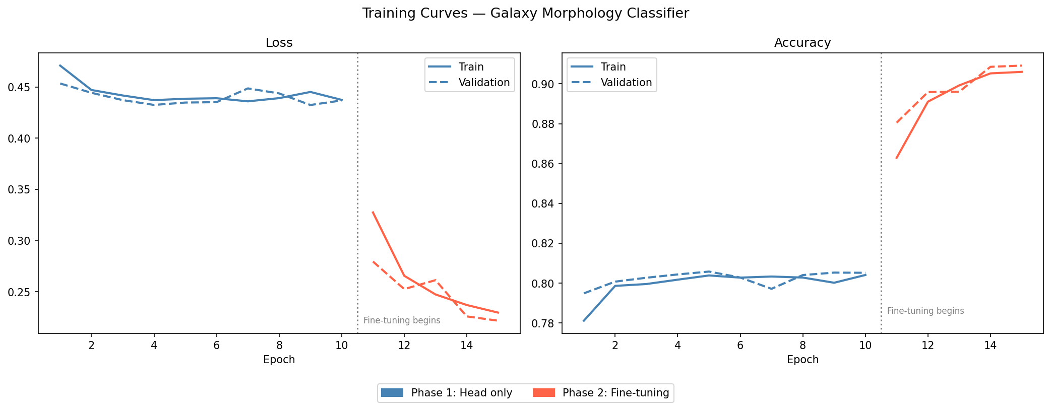 Training and validation loss curves across both training phases